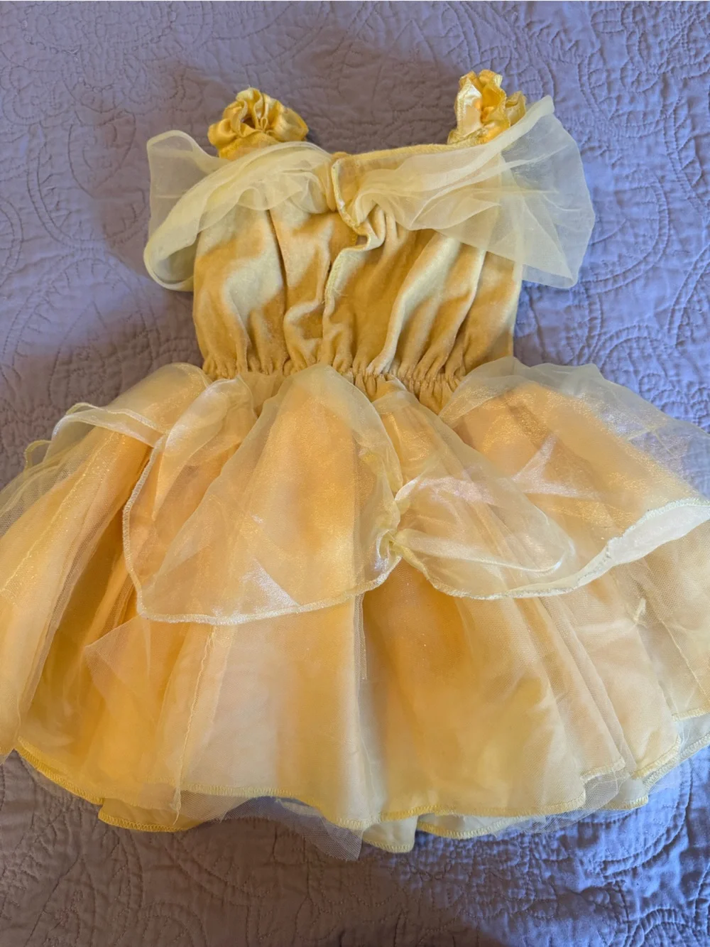 Disney Princess “Belle” Tulle Dress-Up Costume for Kids